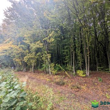 Тязів, Івано-Франківський, Івано-Франківська область 8000.0 USD