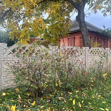 Будинок в Протопопівка