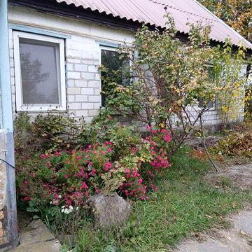 Продам будинок в с.Погреби