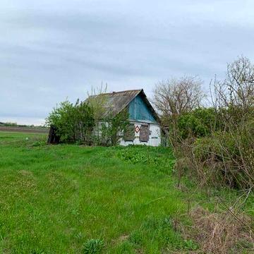 Продам хату в с. Могилів Царичанського району