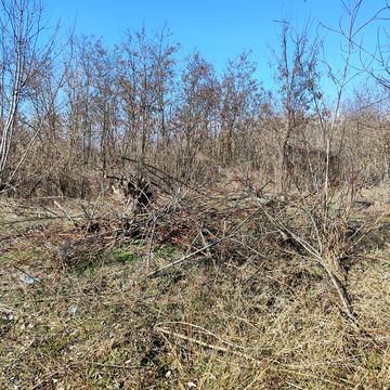 Гостомель, Бучанський, Київська область 28000.0 USD