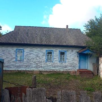 Будинок в селі з городом