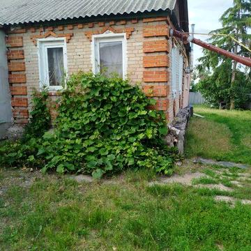 Продам 1/2 дома в Солоницевке, Заречанка, 28.6 м²