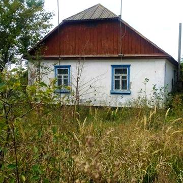 Продається будинок, с. БІЛЬКІВЦІ. 4км від Житомирської траси