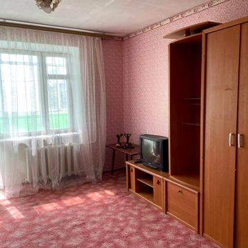 Здам квартиру заготзерно