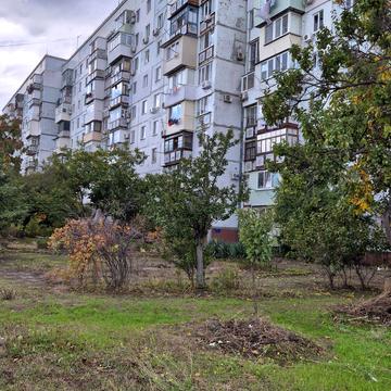Проспект Миру, 43