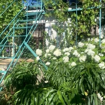 Керченська вул.