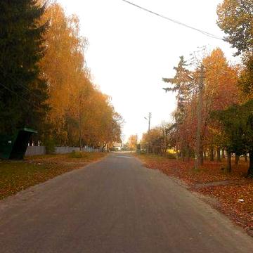 Продаю Будинок з земельною ділянкою в центрі села