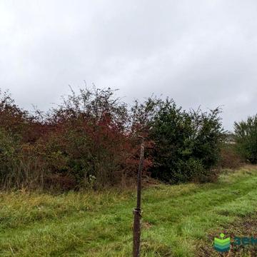 Івана Франка