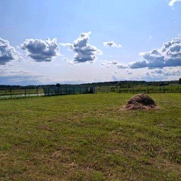 Будинок для реалізації найсміливіших рішень