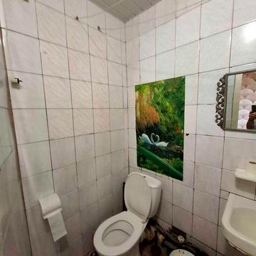 Васищеве в продажі 2х квартира