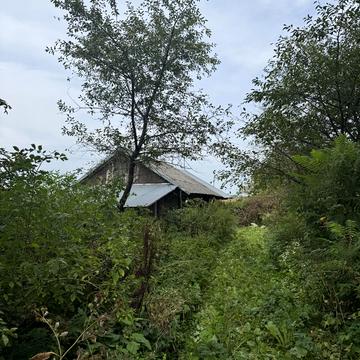 Польова вул.