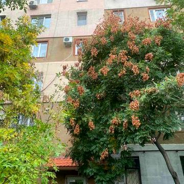 2 комнатная Высотный дом рядом с Центром города