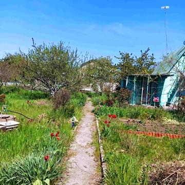 В продаже дача на Заре, рядом водоём,  17 т у е