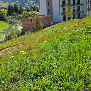 Поляниця, Надвірнянський, Івано-Франківська область 99000.0 USD