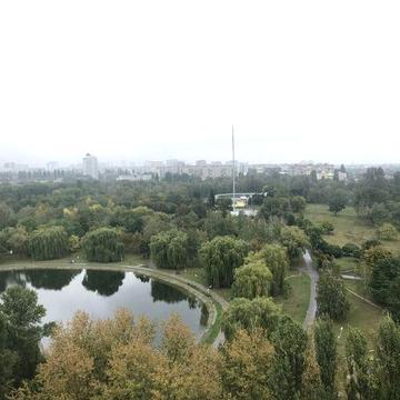 Однокімнатна Квартира біля парку, Вид на парк
