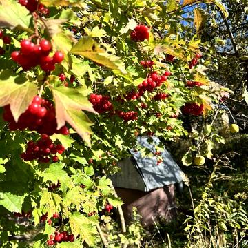 Пожарницького