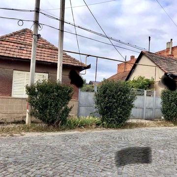 Продається  2 будинки