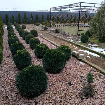 Продаж Будинку в Лебедівці поруч Ліс ! Київське Море! Є-Відновлення