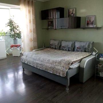 Однокомнатная Семена Палия