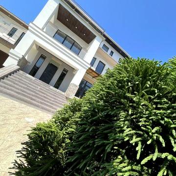 Продам ДОМ в Совиньоне СРОЧНО