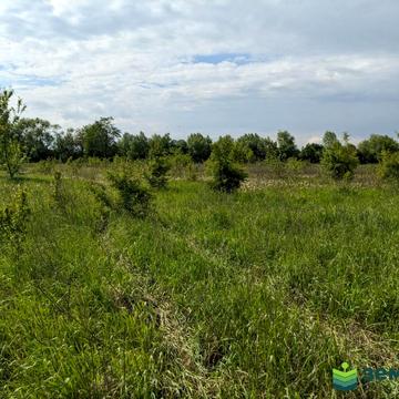 Клузів, Івано-Франківський, Івано-Франківська область 27000.0 USD