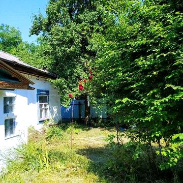Продаж дачного будинку з землею село Лехнівка, Баришівський район