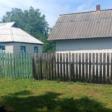 Будинок поряд ліс і річка