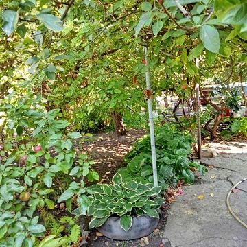 Продам в Романково будинок 2 поверхи від власника