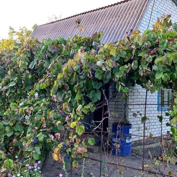 Дача в кооперативі Мрія (за межами с. Ламане) 18 соток