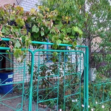Дача в кооперативі Мрія (за межами с. Ламане) 18 соток