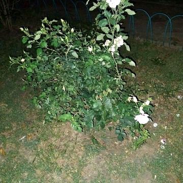 Продаж 1к Квартира Ярославська вулиця ЖК Благовест