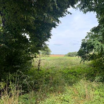 Продаж будинку по вул. Польова в с.Заболоття 60 сот. землі