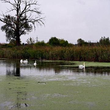 Центральна площа, Ірпінь, Бучанський, Київська область 10000.0 USD