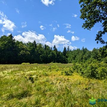Нова Гута, Івано-Франківський, Івано-Франківська область 48000.0 USD
