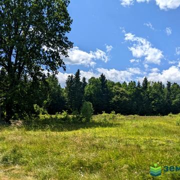 Нова Гута, Івано-Франківський, Івано-Франківська область 18100.0 USD