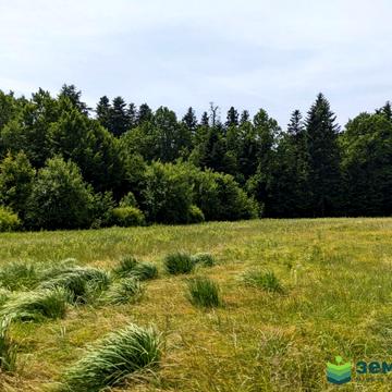 Нова Гута, Івано-Франківський, Івано-Франківська область 26000.0 USD