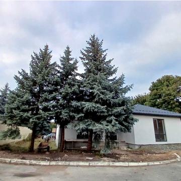 Канадське селище