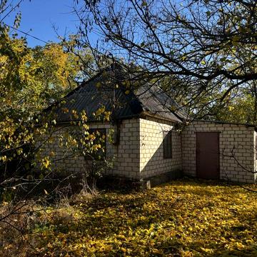 Дом в Шульговке , Петриковский р- н, Каменское 20 км.