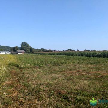 Клузів, Івано-Франківський, Івано-Франківська область 16500.0 USD