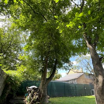 22-та Садова вул.