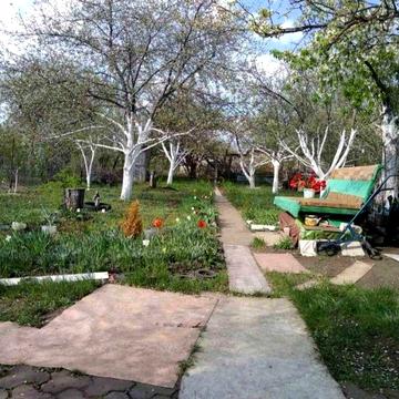 Продам дачный участок