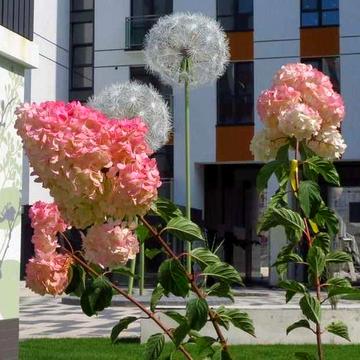 Продаж 3 кім.квартири ЛИПКИ ЖК ЛИПКИ