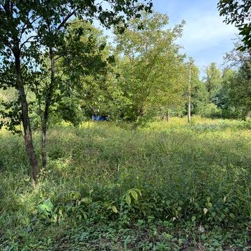 Продам два будинки в с. Сілець