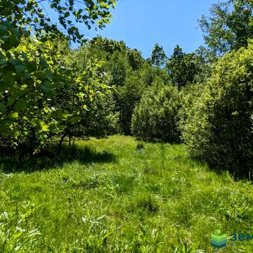 Нова Гута, Івано-Франківський, Івано-Франківська область 19500.0 USD