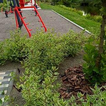 Смарт квартира у Гостомелі. У житловому комплексі " Сенсація " ЖК сенсація