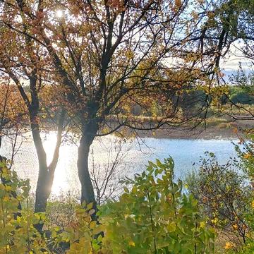 Міська рада, Обухів, Обухівський, Київська область 50000.0 USD