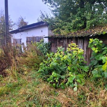 Продам дом в г.Шостка.