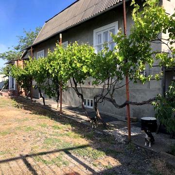 Продам Большой просторный Дом в Одесской области