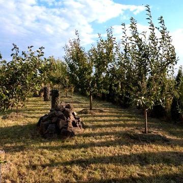 Новий комфортний будинок від власника